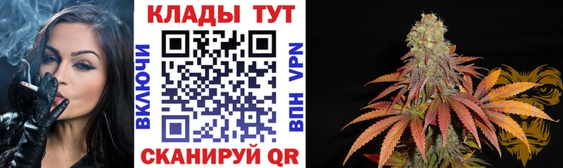 Хочу наркоту Кашин Бошки Шишки  Меф мяу мяу  ГАШИШ 