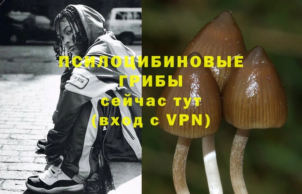 Альфа ПВП Армянск