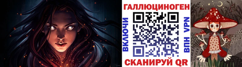Галлюциногенные грибы Psilocybe OMG ССЫЛКА Кашин